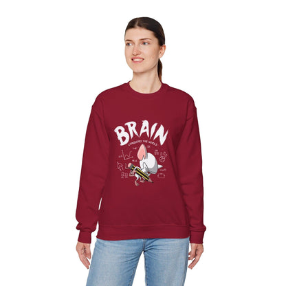 Pinky and the Brain World Domination Sweatshirt, Rodent Lover Gift, Funny Animal Sweater, Cute Mice Jumper, Geeky Graphic Pullover