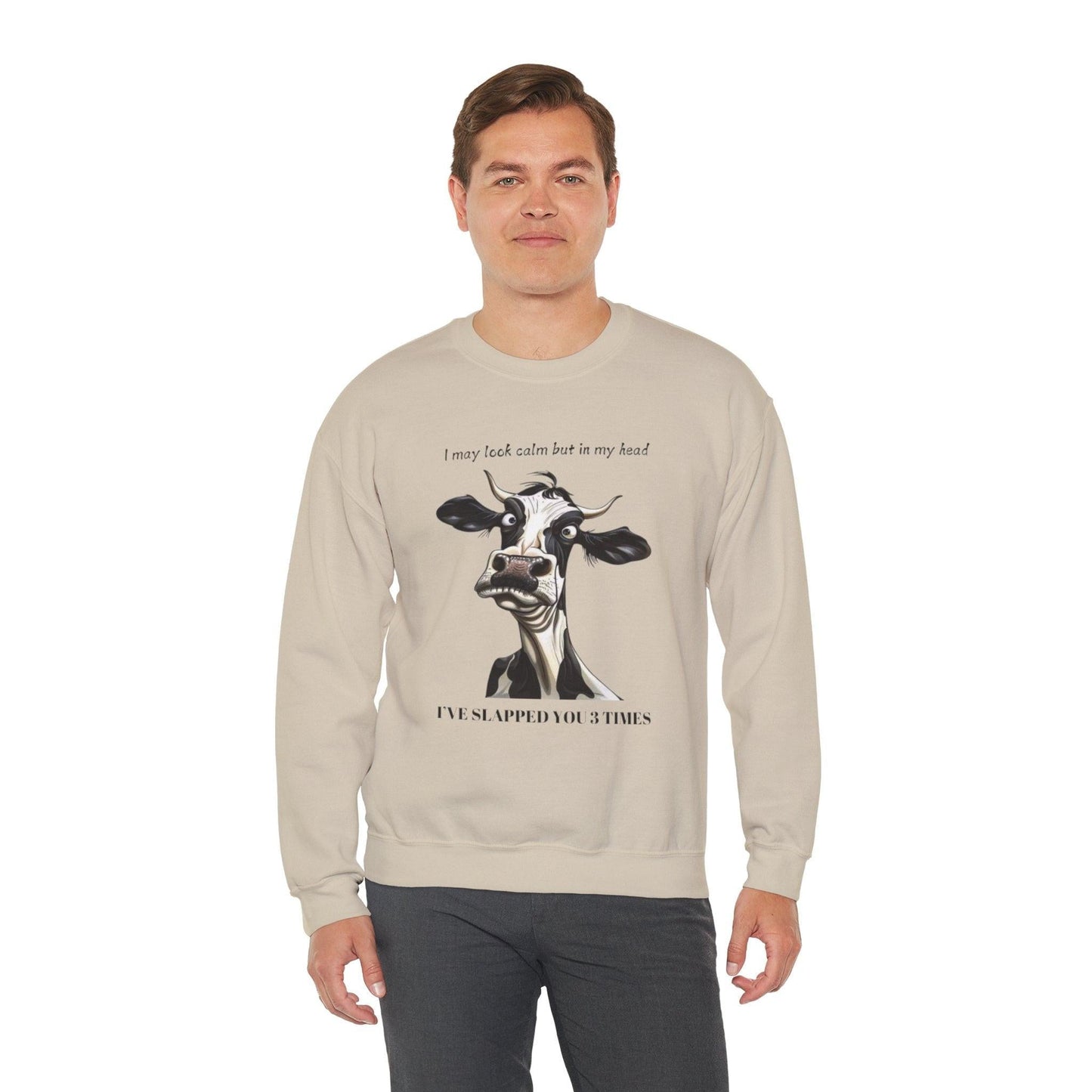 Funny Unisex Sweatshirt - 'I May Seem Calm But In My Head I've Punched You Three Times'