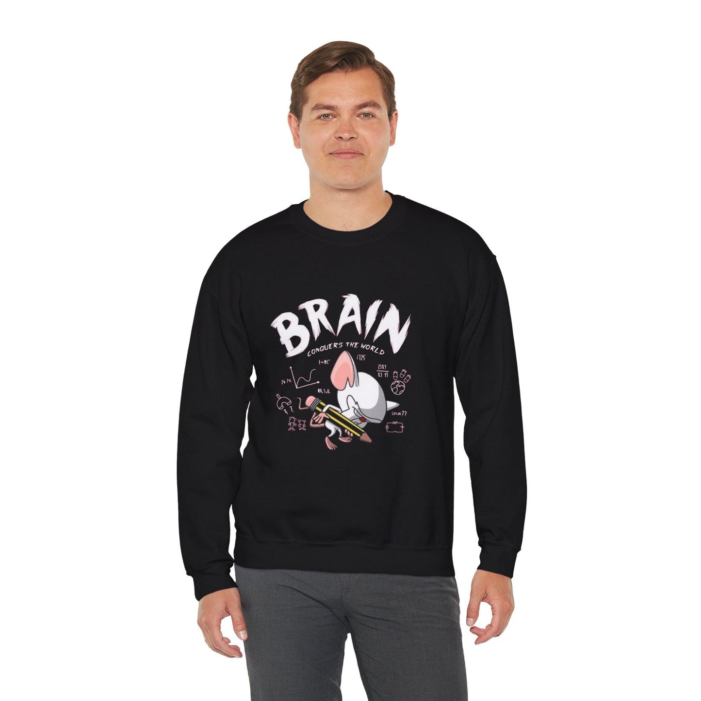 Pinky and the Brain World Domination Sweatshirt, Rodent Lover Gift, Funny Animal Sweater, Cute Mice Jumper, Geeky Graphic Pullover