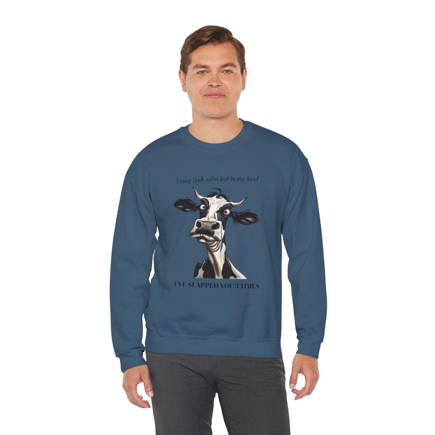 Funny Unisex Sweatshirt - 'I May Seem Calm But In My Head I've Punched You Three Times'