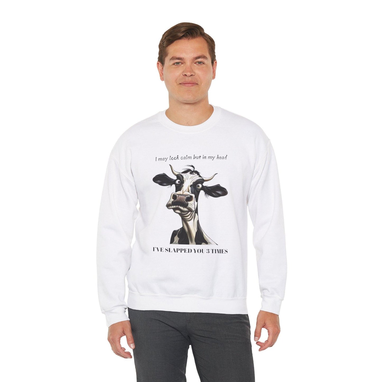 Funny Unisex Sweatshirt - 'I May Seem Calm But In My Head I've Punched You Three Times'